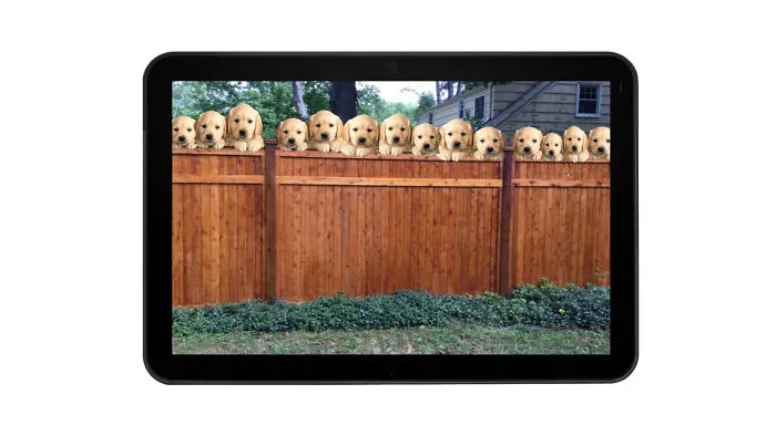‍