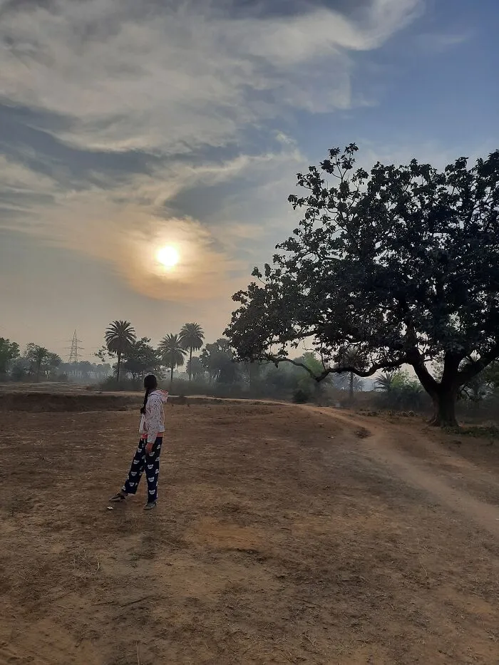 Late Afternoon Walk