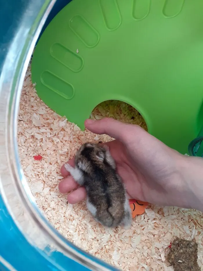 Nooooo Don't Leave Me Mum!!!