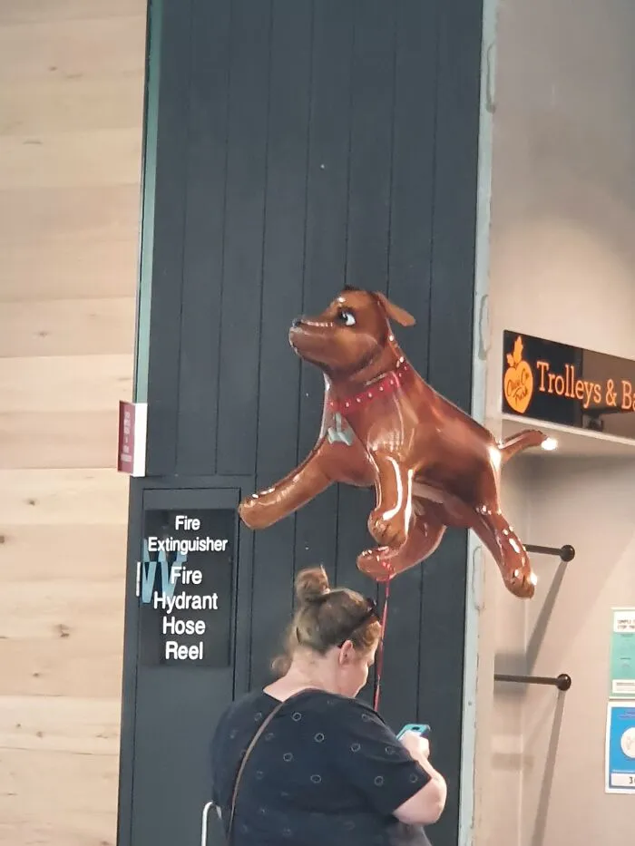 Saw This Dog 🐕  Balloon 🎈 At Our Local Mall...😆