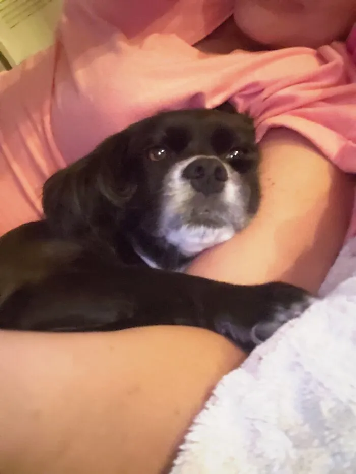 Coco Snuggles