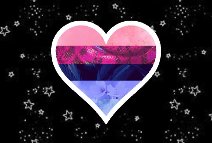 #6 Omnisexual