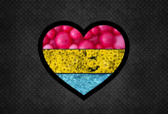 #4 Pansexual