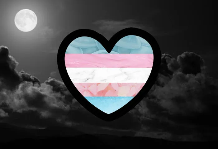 #2 Trans