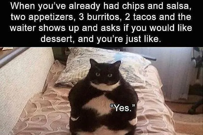 Chonkin' Up On That Mexican Food Be Like