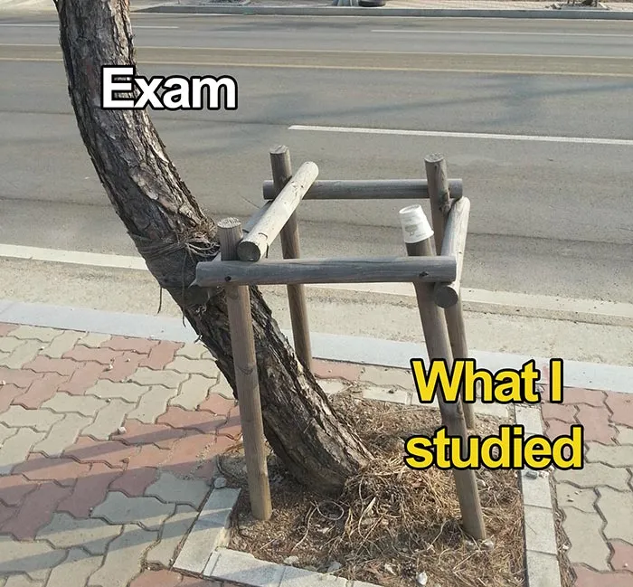 College Life