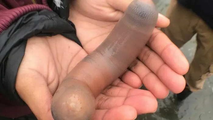 My Friend Found This On The Beach.  (I’m Sorry.)