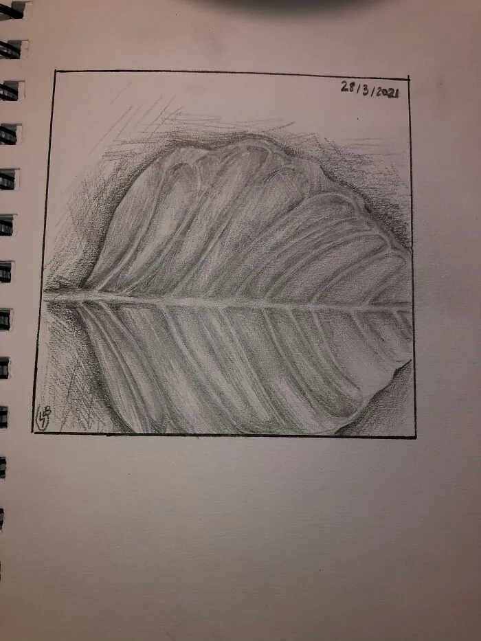 Leaf