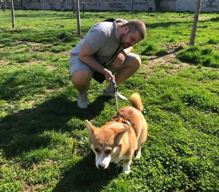 50 Moments Of Dogs Malfunctioning And Their Humans Failing To Resist The Urge To Document It For The #UnflatteringDogPhotoChallenge (New Pics)