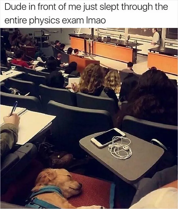 College Is Hard