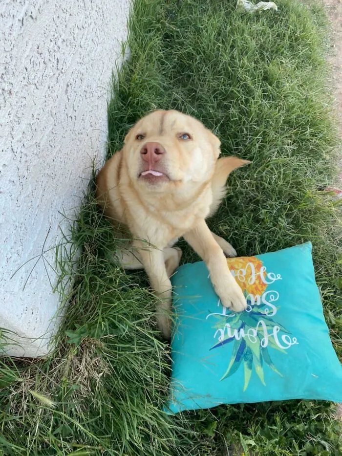 Mleh