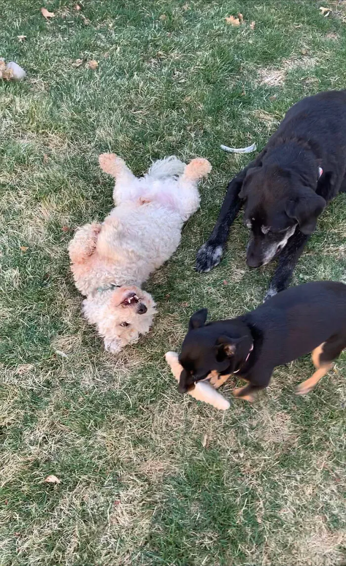 Just Gonna Drop This Here. (This Is The Only Photo I Have Of All 3 Of Them Together)
