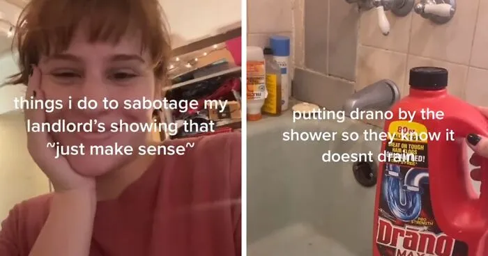 Landlord Wants To Increase The Rent, Tenant 'Sabotages' Apartment Showings By Putting Every Problem In Her Apartment On Display