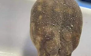 10 Pictures Of Animals With Cute Butts