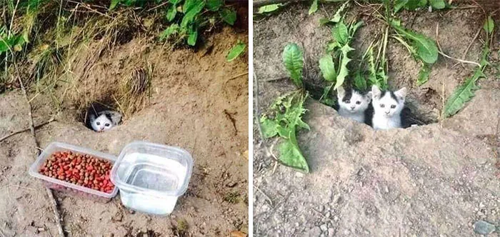 She Brought A Friend The Next Day