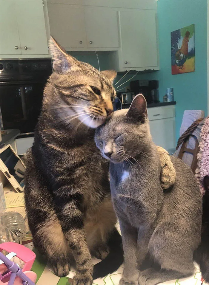 Relationship Goals