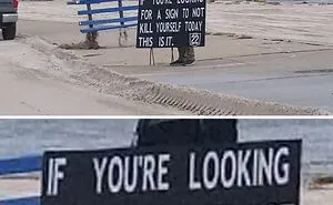 If You’re Feeling Down, These 50 Wholesome Pics Might Lift You Up (New Pics)