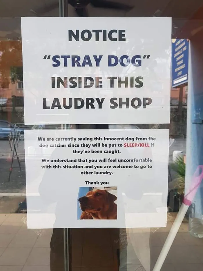 Locals Protects Stray Dog From Dogcatchers