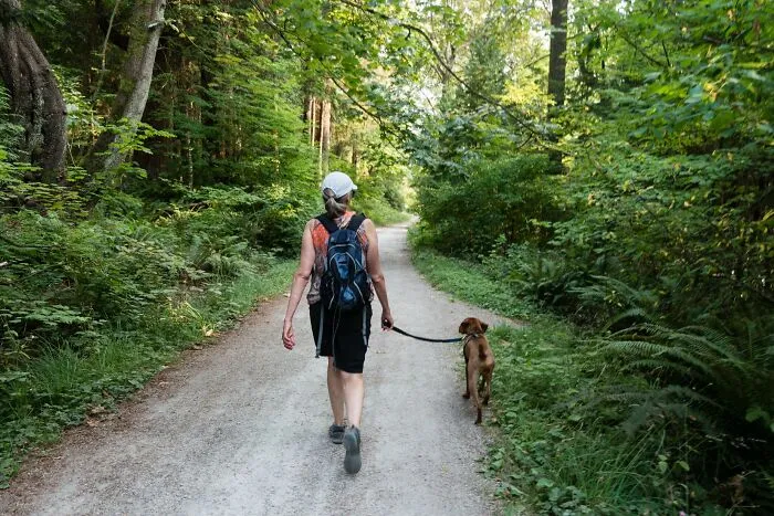 By Law You Have To Walk Your Dog Three Times A Day In Turin, Italy