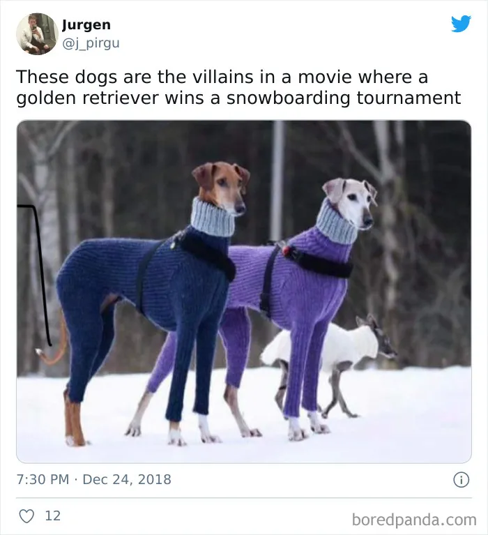 Doggo