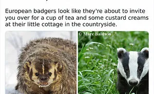 45 Things People Said That Were Oddly Specific Yet So Accurate