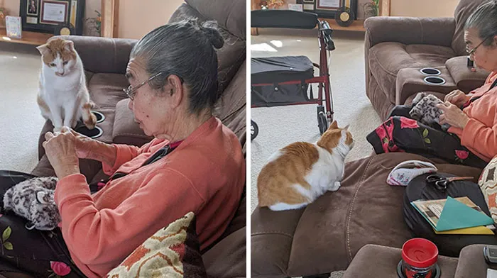 Mi gato rompió su juguete favorito. Esta es mi abuela cosiéndolo de nuevo