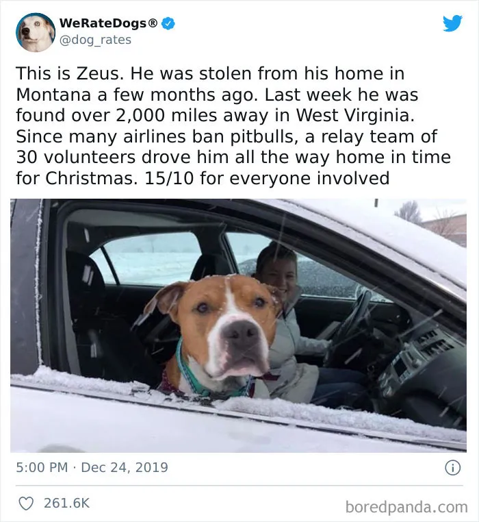 This Is Zeus