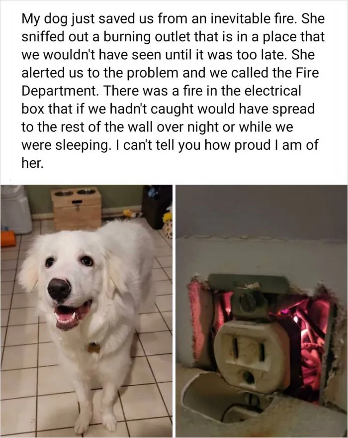 The Goodest Of Girls