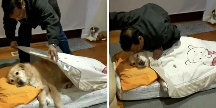 El padre que no quería un perro ahora lo arropa en la siesta