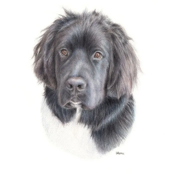 I Create Animal-Themed Paintings Using Watercolor, Ink, And Acrylic Paint, Here Are My best 70 Works