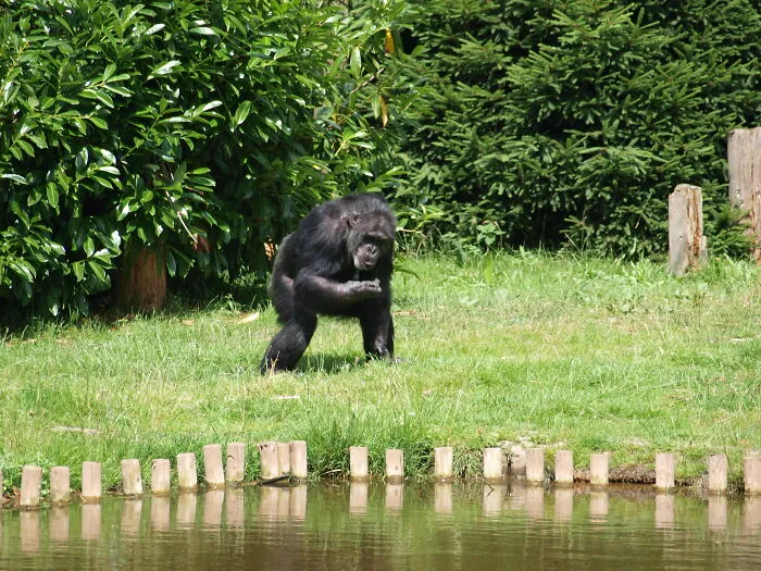 Zookeepers Anonymously Reveal The Darkest Zoo Secrets They Keep Shut Behind Bars (35 Pics)