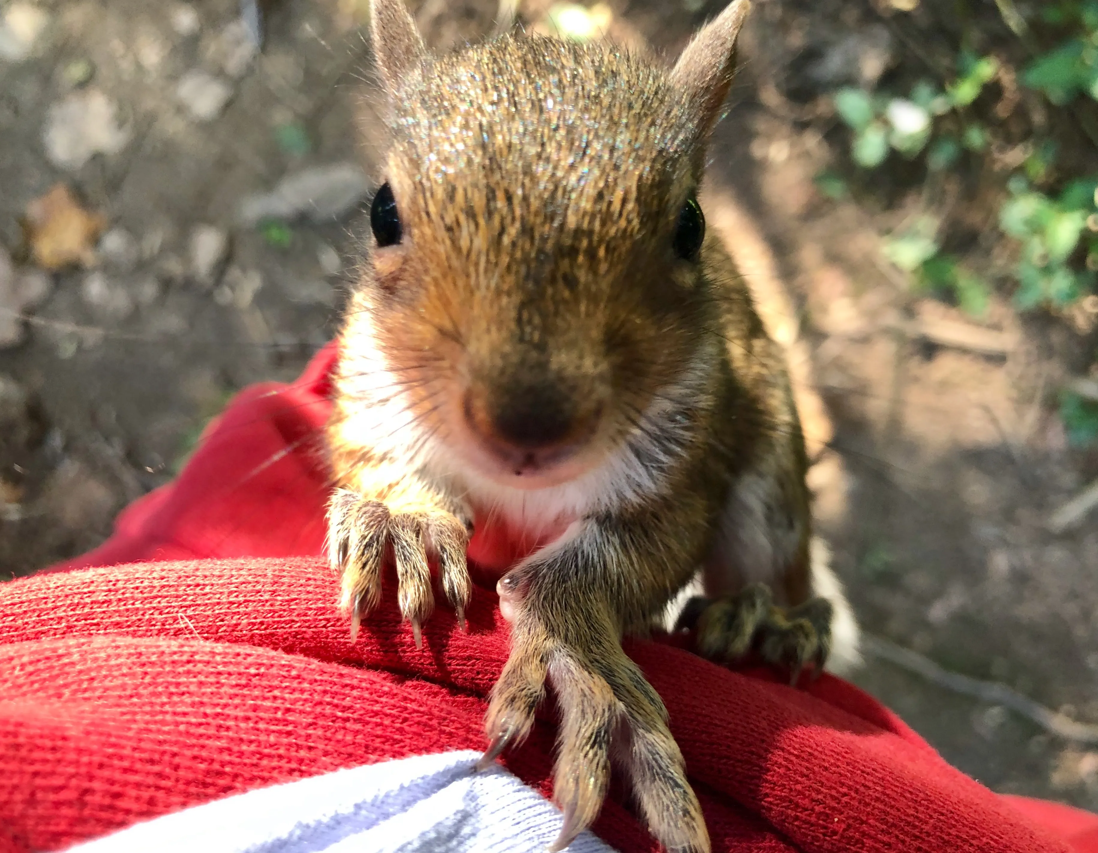 An Unlikely Encounter With Nature
