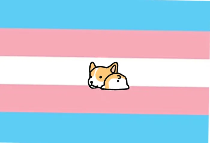 Transgender 🏳️‍⚧️