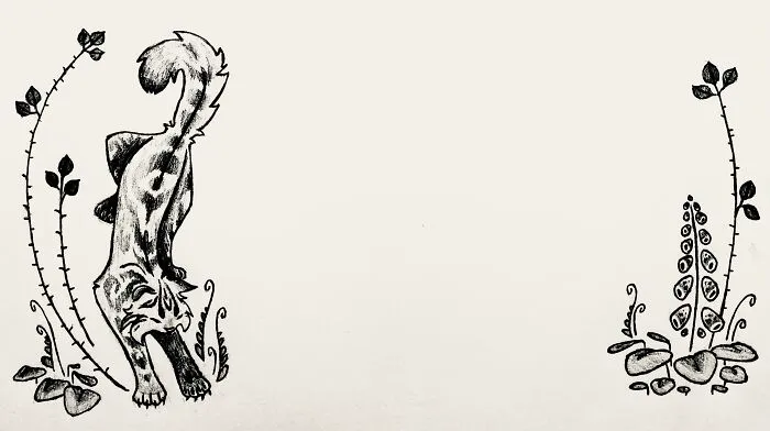 Chapter Heading For My Fanfiction. The Title Goes In The Empty Space