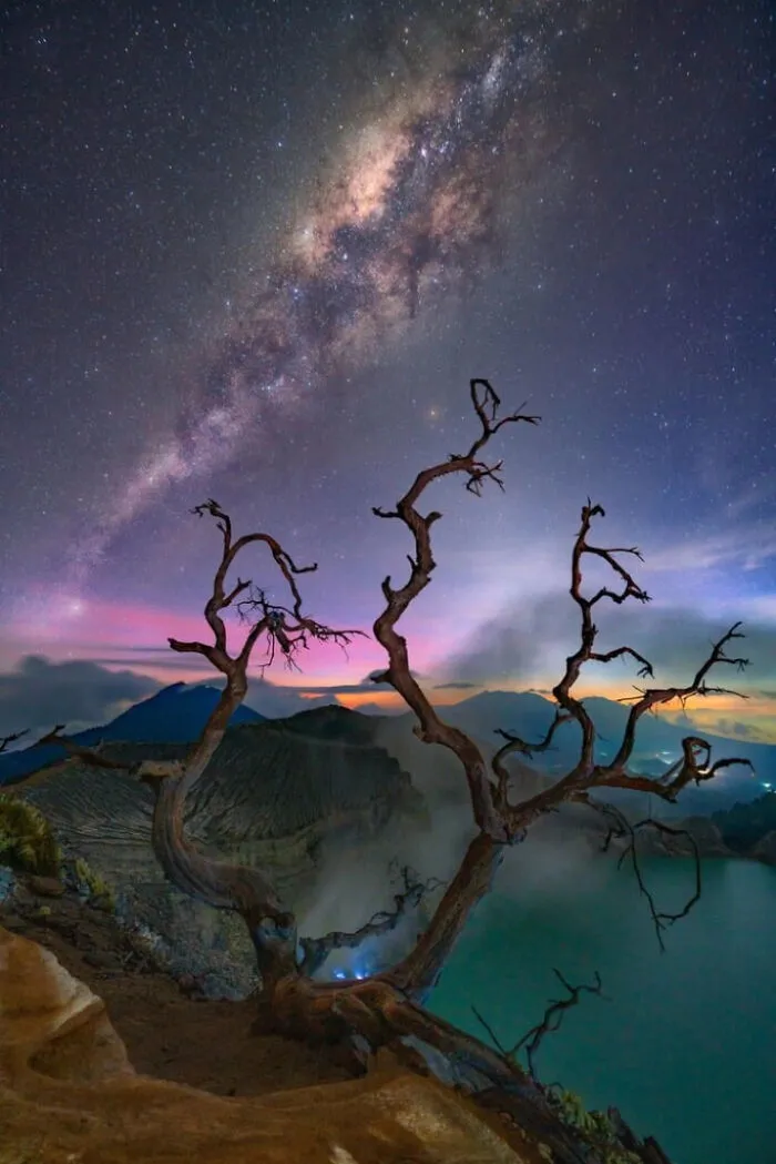 “Around Dead Trees” By Gary Bhaztara
