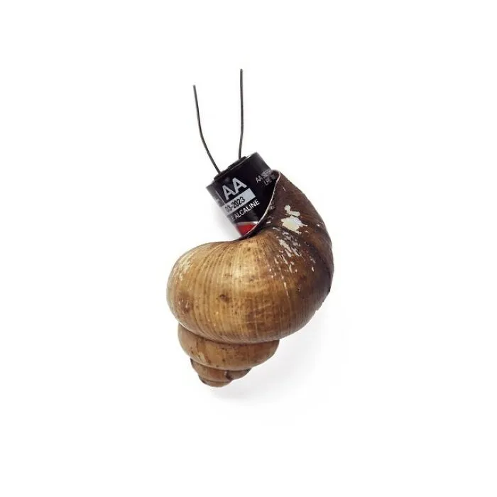 I Combine Everyday Items To Create Clever Illustrations (59 Pics)