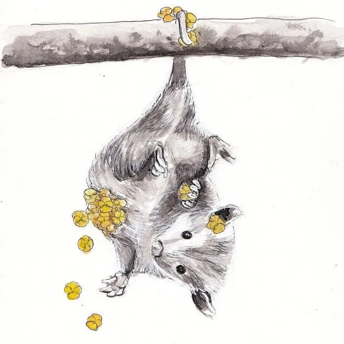 I Create Animal-Themed Paintings Using Watercolor, Ink, And Acrylic Paint, Here Are My best 70 Works