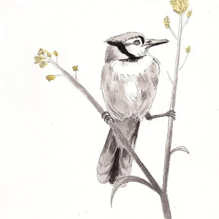 I Create Animal-Themed Paintings Using Watercolor, Ink, And Acrylic Paint, Here Are My best 70 Works