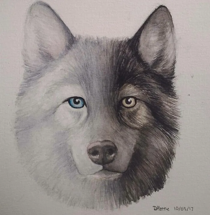 I Create Animal-Themed Paintings Using Watercolor, Ink, And Acrylic Paint, Here Are My best 70 Works
