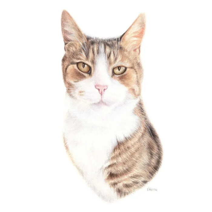 I Create Animal-Themed Paintings Using Watercolor, Ink, And Acrylic Paint, Here Are My best 70 Works