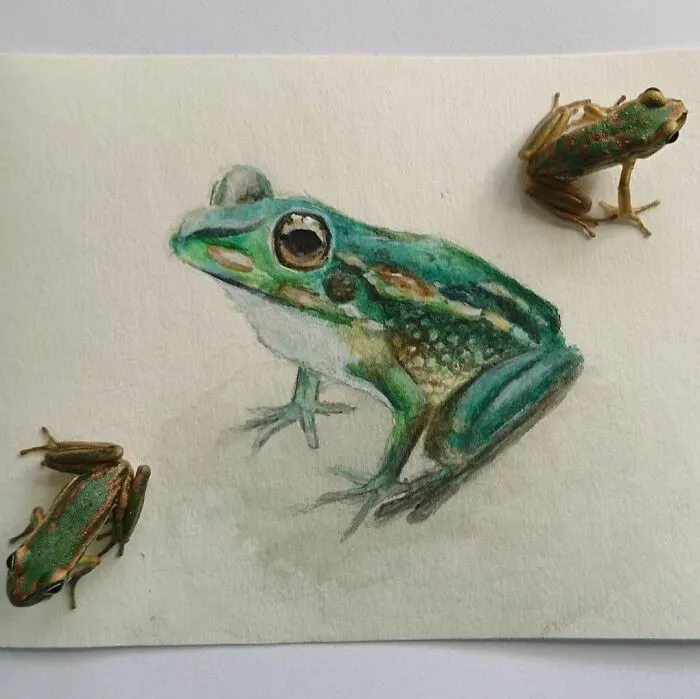 I Create Animal-Themed Paintings Using Watercolor, Ink, And Acrylic Paint, Here Are My best 70 Works