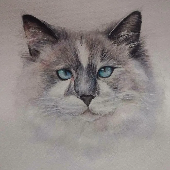 I Create Animal-Themed Paintings Using Watercolor, Ink, And Acrylic Paint, Here Are My best 70 Works