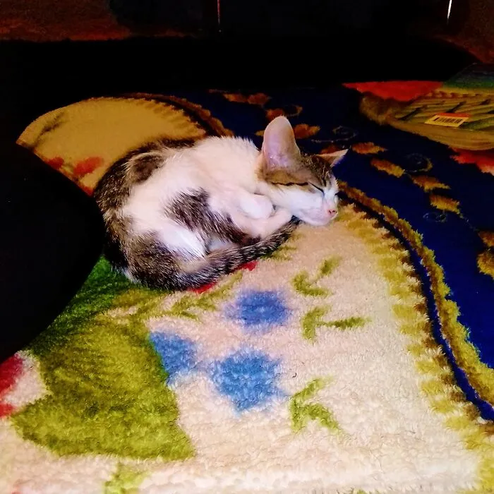 Coco
