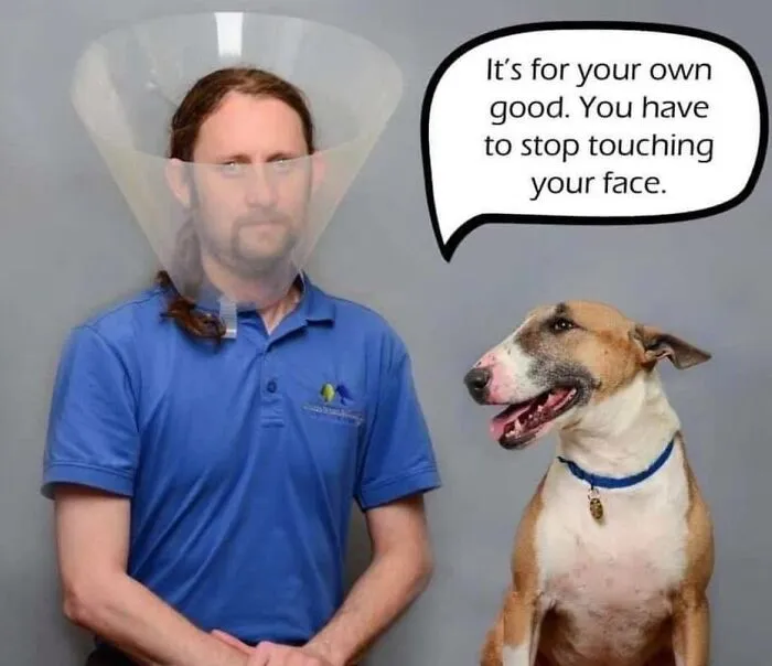 You Tell 'Em Doggo!