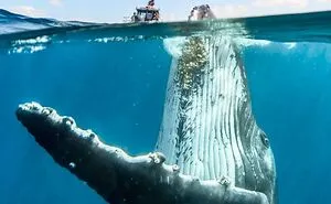 50 Interesting Comparison Images That Will Give You A New Perspective (New Pics)