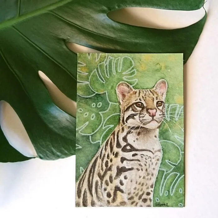 I Create Animal-Themed Paintings Using Watercolor, Ink, And Acrylic Paint, Here Are My best 70 Works
