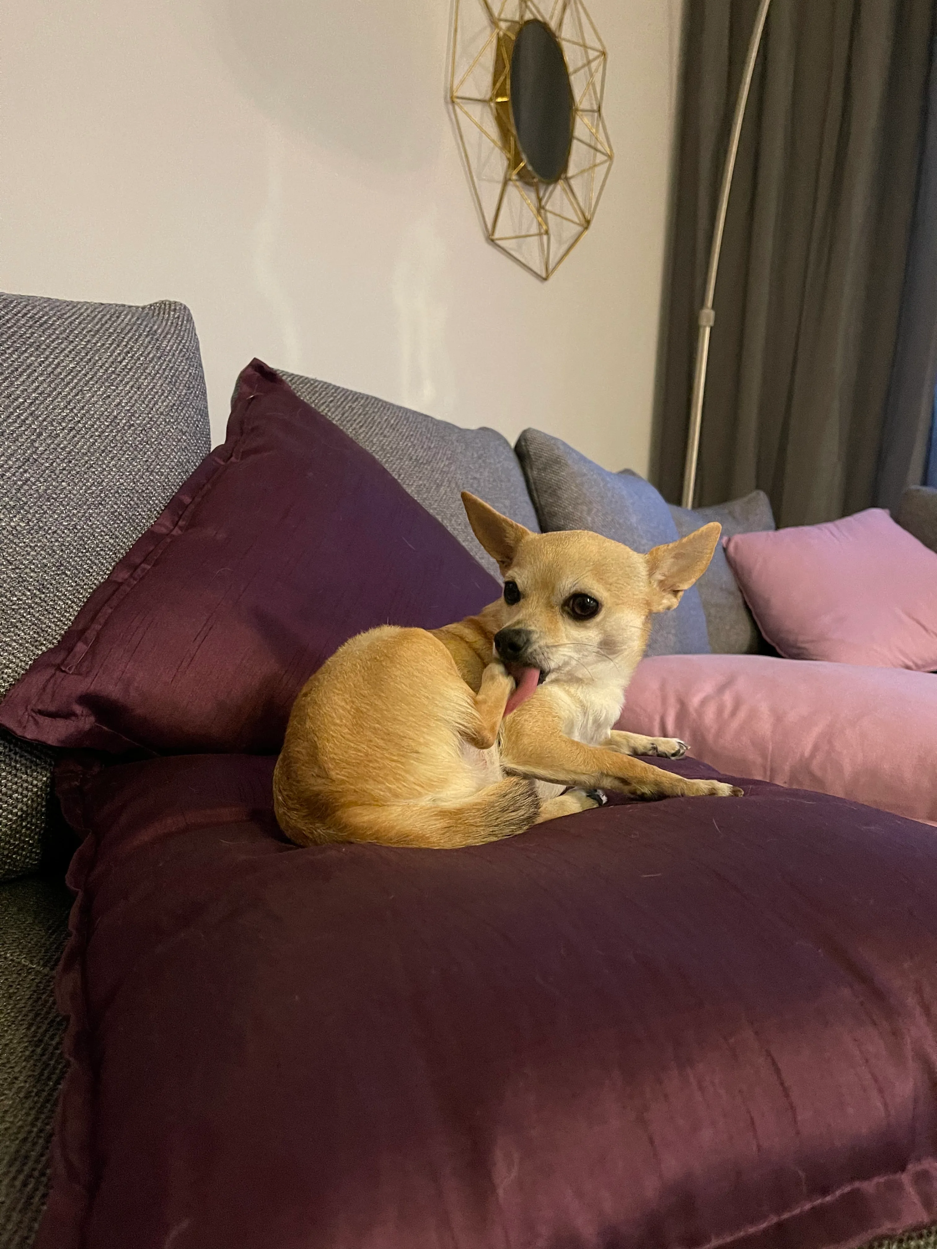 This Is Barbara And She’s Getting Ready For A Date !