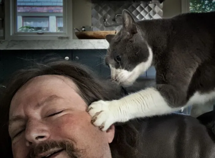 I Am A Cat Sitter. Client Cat, Taz, Is A Big Sweetheart. For A Moment He Thought That My Face Was A Toy.