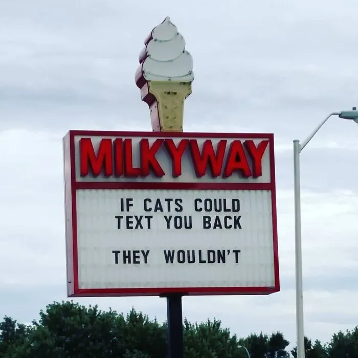 This Ice Cream Shop Is Winning The Funny Sign Game (21 Pics)