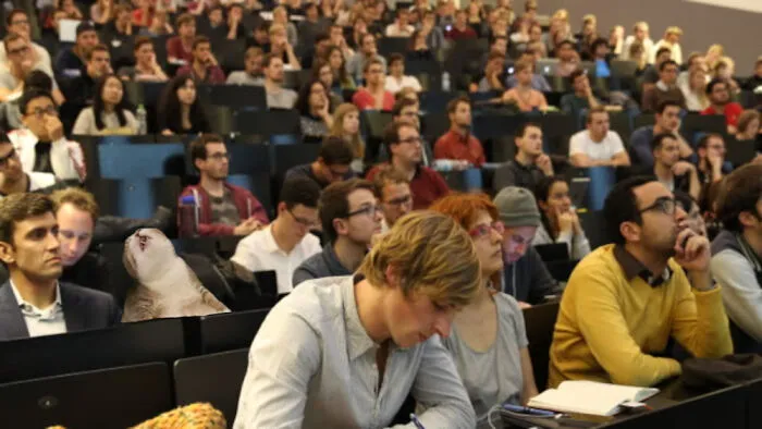 College Is Hard...
